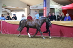 SBM_14948