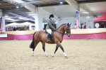 SBM_08205
