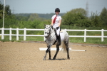 SBM_008775