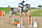 Cls 28 Foxhunter portfolio