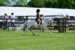 SBM_06430