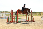 SBM_006919