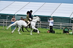 SBM_03735