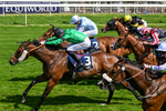 230526-Race 3-Partisan Hero-0438