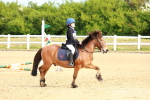 SBM_006586