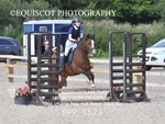 BPP_1523