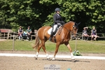 223-Deborah_Randall-Sandy's_Bertie portfolio