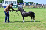 SBM_03679