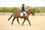 SBM_007403