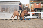 SBM_20553