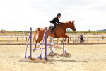 SBM_006535