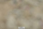 230630A-134402-02794