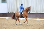 SBM_002239