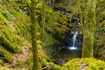 Ormidale Estate, Argyll - 3994