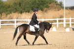 SBM_009047