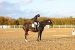 SBM_003358