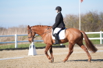 SBM_003358