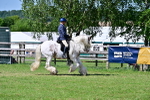 SBM_19361