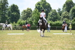 WJ6_6835