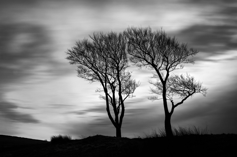Silhouetted - Pott Shrigley - Cheshire