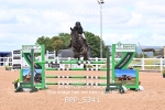 BPP_5341