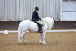 SBM_000295