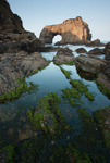 Pollet Arch (08020086)