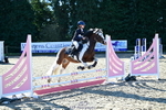 261004A-110513-01279