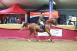 SBM_05191