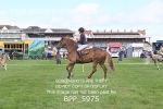 BPP_5975