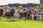 240824-Race 7-Sir Busker-9245
