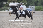 BPP_6196