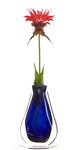 MONARDA AND BLUE VASE