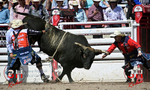3HRodeo_CFD_JUL_19_2026_03664