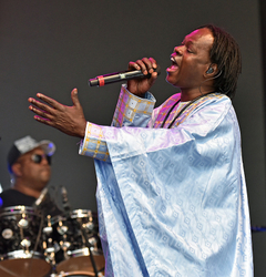 Womad 2016 portfolio