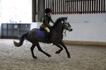 AJG_1786