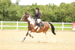 SBM_000493