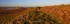Hadrians Wall on a spring evening.    ref had wall 2