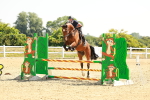 SBM_000442