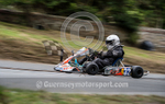 Hillclimb_02-08-2014_Kart-4
