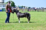 SBM_03682
