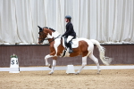 SBM_001668