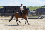 _DSC0976