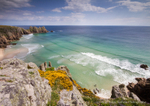 Cornish Paradise