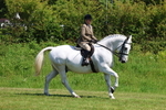 3E7A8298