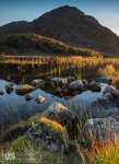 Llyn Cwm Bychan sunset