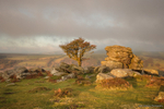 Saddle Tor