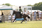 SBM_13746