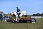 WJ5_8607