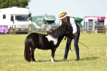 SBM_01913